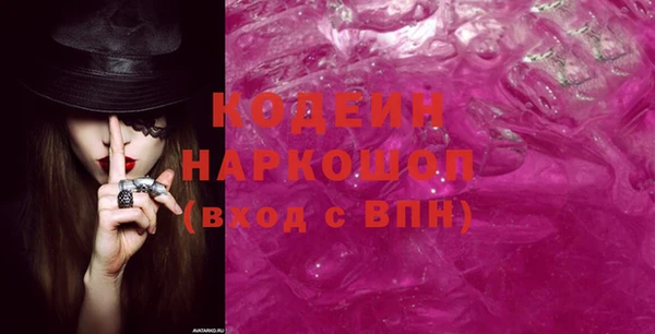 прущий лед Бородино