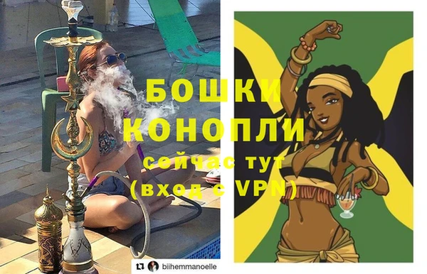 прущий лед Бородино
