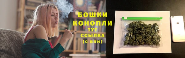 прущий лед Бородино