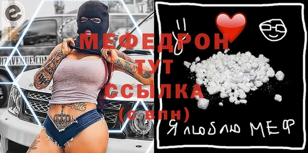прущий лед Бородино