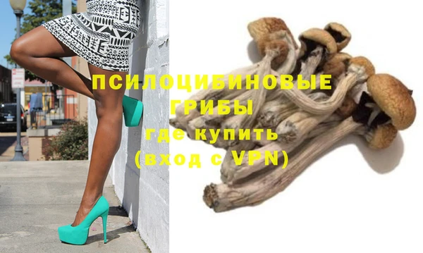 прущий лед Бородино