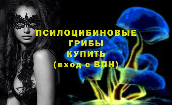 марки lsd Бугульма