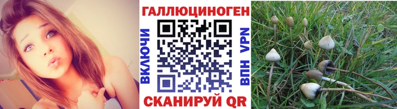 Галлюциногенные грибы прущие грибы  Сызрань 